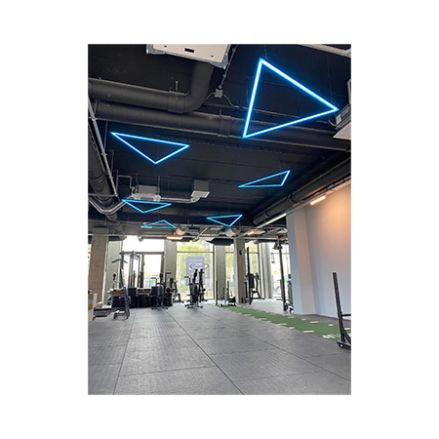 CUSTOM SUSPENDED TRAINGULAR PROFILE LIGHT