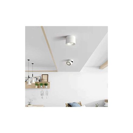 SURFACE COB DOWNLIGHT 360