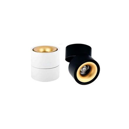 SURFACE COB DOWNLIGHT 360